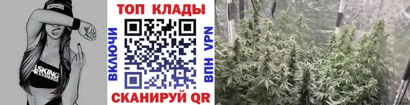 Хочу наркоту Зеленоградск Кокаин  ГАШИШ  А ПВП  Марихуана 