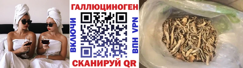 Галлюциногенные грибы мицелий  кракен ONION  Зеленоградск 